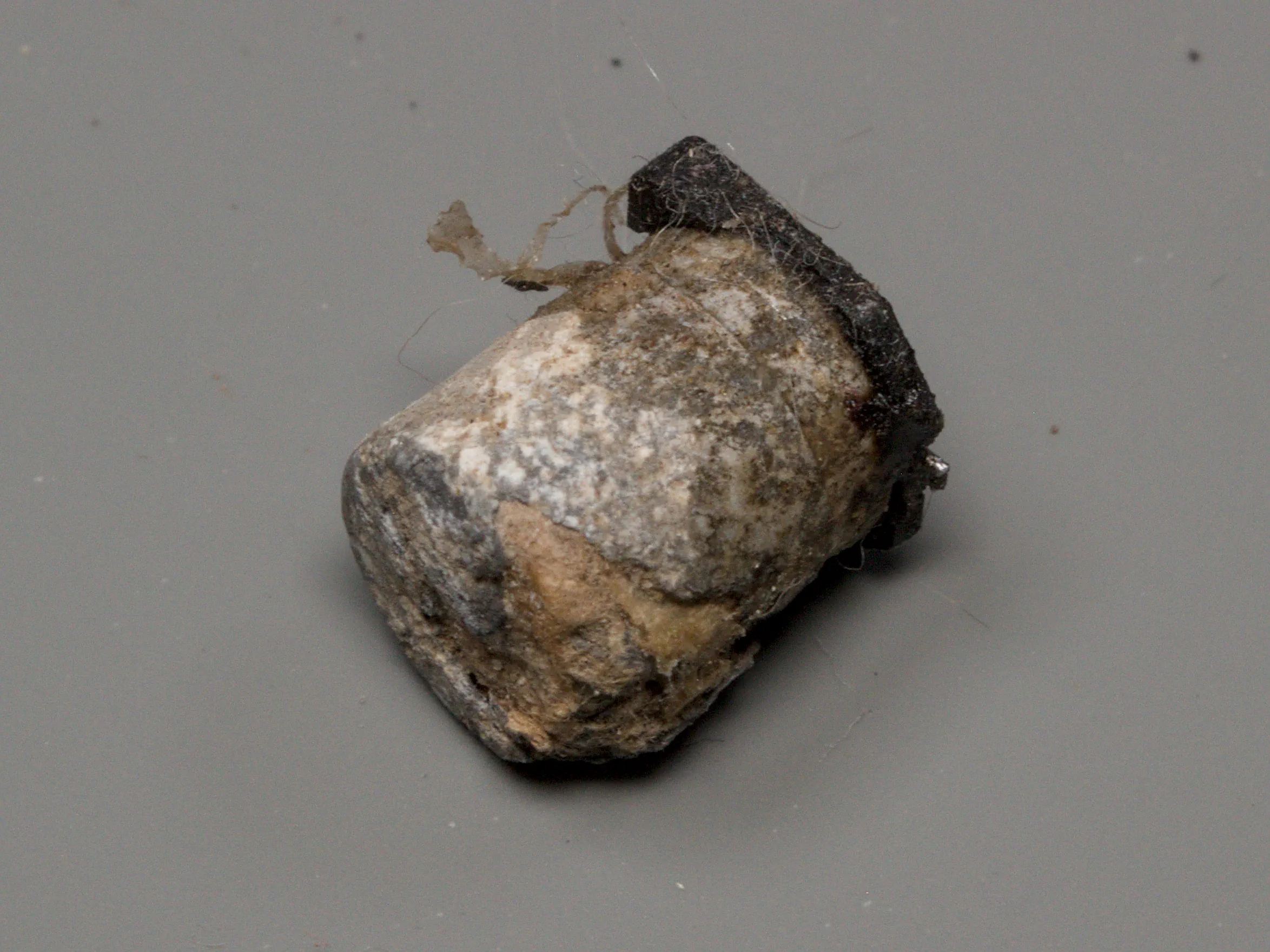 Removed surface-mount electrolytic capacitor with severe corrosion and residue on its metal case